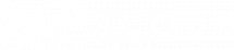 Scout Digital logo